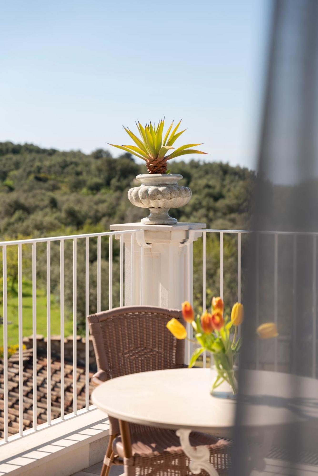 Готель Relais Palazzo Del Barone (Adults Only) Сорренто Екстер'єр фото
